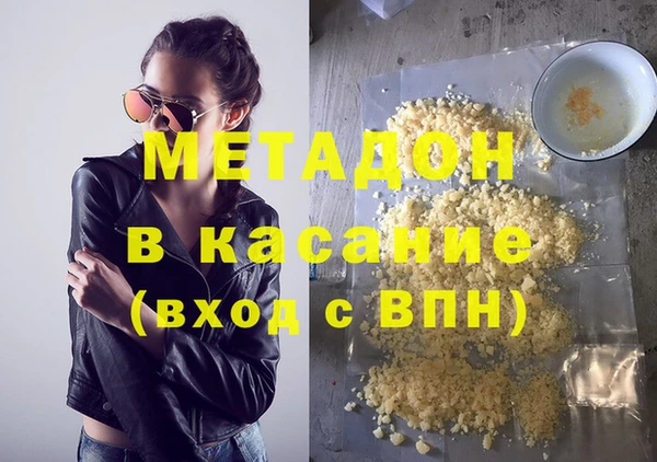 хмурый Аркадак