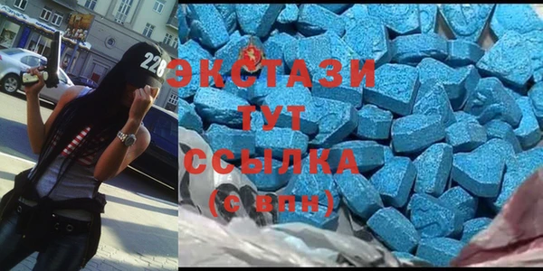 хмурый Аркадак