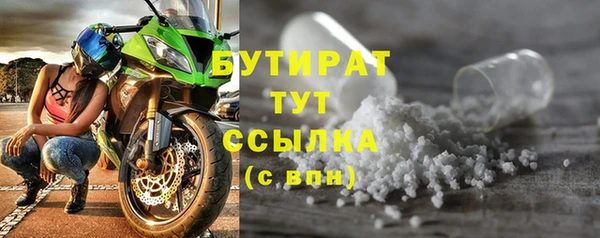 хмурый Аркадак